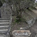 実際訪問したユーザーが直接撮影して投稿した早島公園つつじ公園の写真