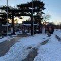 実際訪問したユーザーが直接撮影して投稿した桜ケ岡公園神社櫻岡大神宮の写真