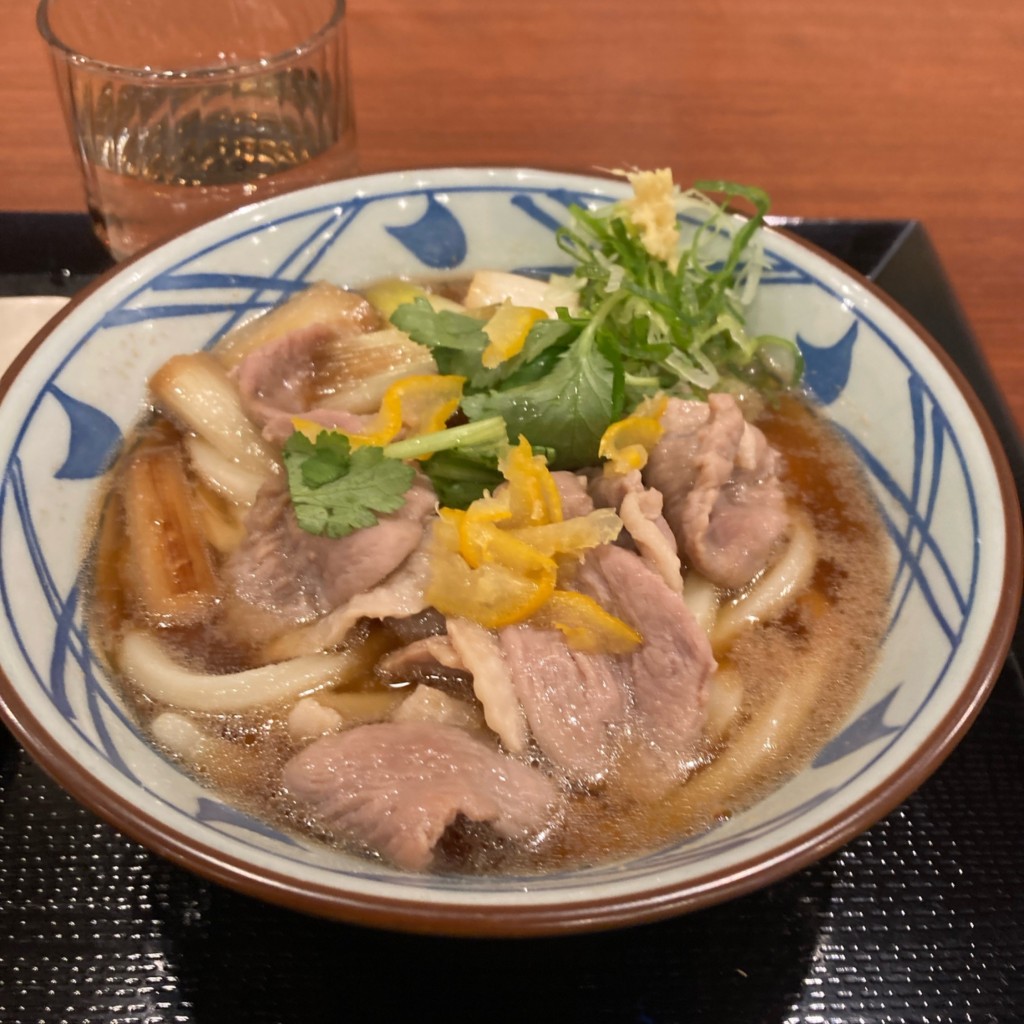 ユーザーが投稿した鴨ねぎうどんの写真 - 実際訪問したユーザーが直接撮影して投稿した伏古一条うどん丸亀製麺 札幌店の写真