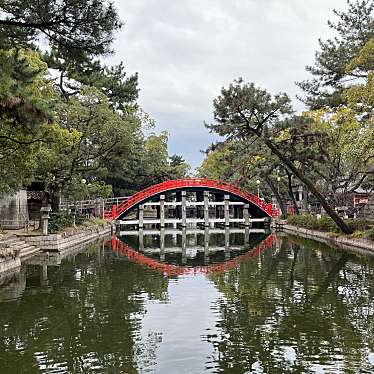 ヒロシはベイスターズ魂さんが投稿した住吉神社のお店住吉大社/スミヨシタイシャの写真