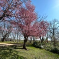 実際訪問したユーザーが直接撮影して投稿した東光町公園泉の沼公園の写真