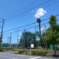 実際訪問したユーザーが直接撮影して投稿した富岡公園中央公園の写真
