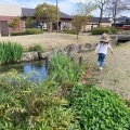 実際訪問したユーザーが直接撮影して投稿した里町公園柿田公園の写真