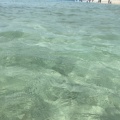 実際訪問したユーザーが直接撮影して投稿した瀬底海水浴場 / 海浜瀬底ビーチの写真
