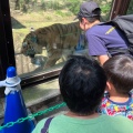 実際訪問したユーザーが直接撮影して投稿した程久保動物園多摩動物公園の写真