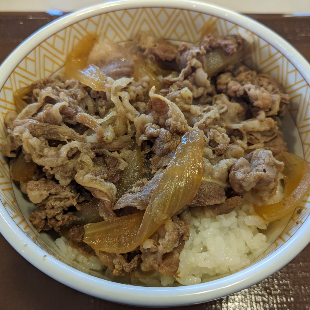 ユーザーが投稿した牛丼並の写真 - 実際訪問したユーザーが直接撮影して投稿した連島牛丼すき家 倉敷連島店の写真