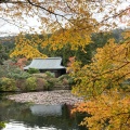 実際訪問したユーザーが直接撮影して投稿した龍安寺御陵ノ下町寺龍安寺の写真