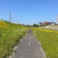 実際訪問したユーザーが直接撮影して投稿した三好町公園境川緑地の写真