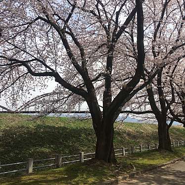 実際訪問したユーザーが直接撮影して投稿した今井公園今宮公園の写真