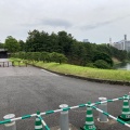 実際訪問したユーザーが直接撮影して投稿した麹町公園千鳥ヶ淵公園の写真