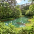 実際訪問したユーザーが直接撮影して投稿した桧原地域名所五色沼の写真