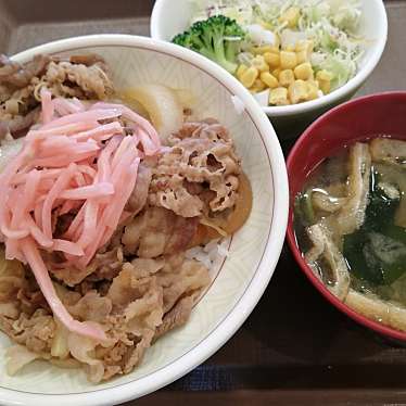 実際訪問したユーザーが直接撮影して投稿した桜牛丼すき家 秋田東店の写真