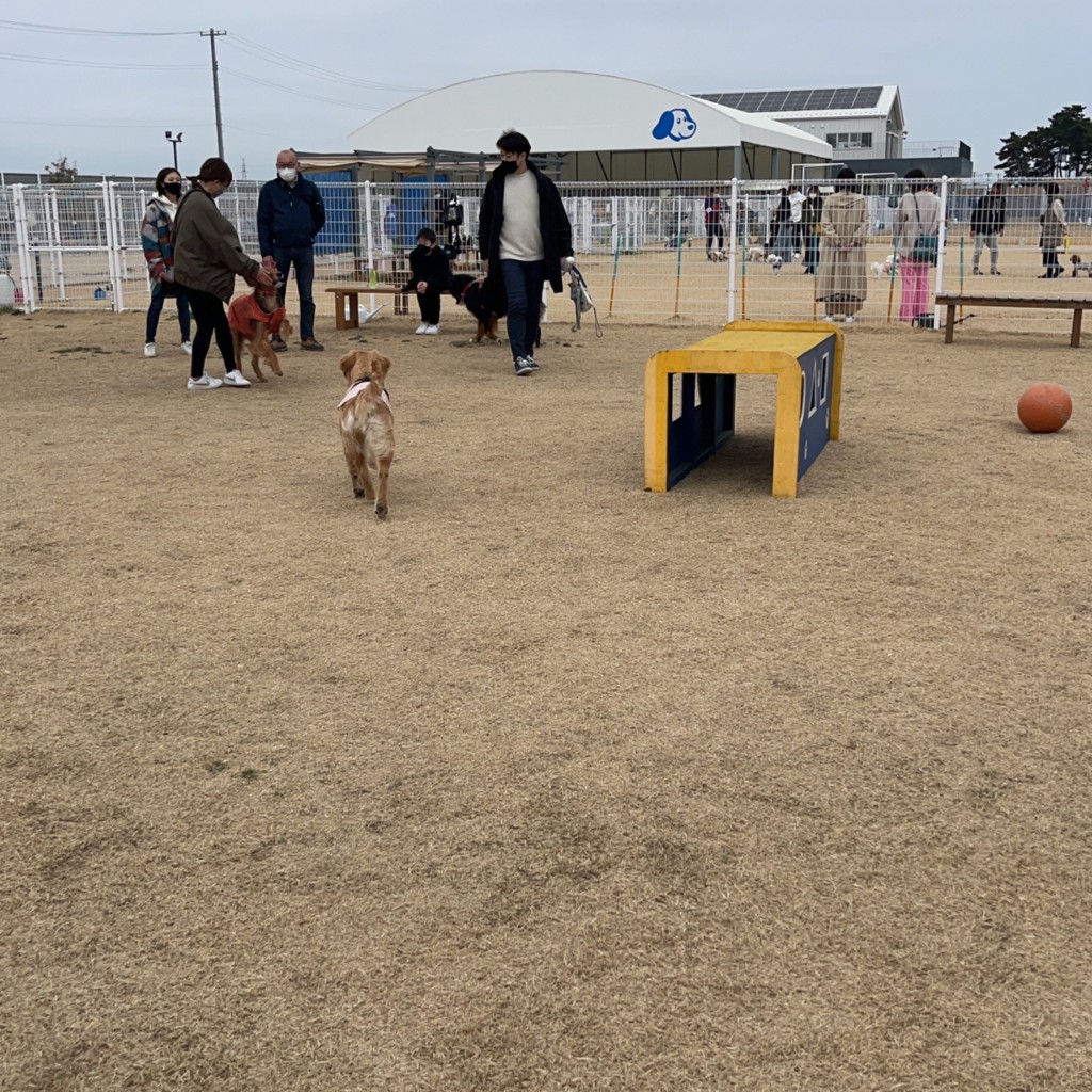 実際訪問したユーザーが直接撮影して投稿した岡田カフェガモウパークの写真