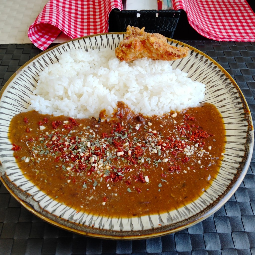 ユーザーが投稿した地鶏出汁カレー (シンプル)の写真 - 実際訪問したユーザーが直接撮影して投稿した鳥飼カレー豊鶏スパイスカレーの写真