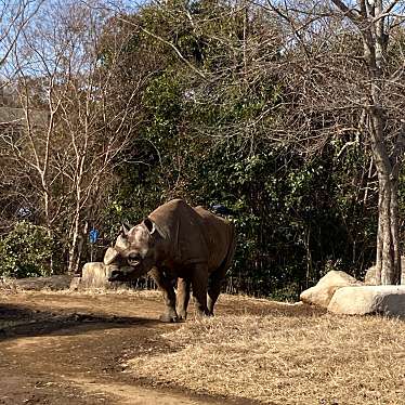 よこはま動物園ズーラシアのundefinedに実際訪問訪問したユーザーunknownさんが新しく投稿した新着口コミの写真