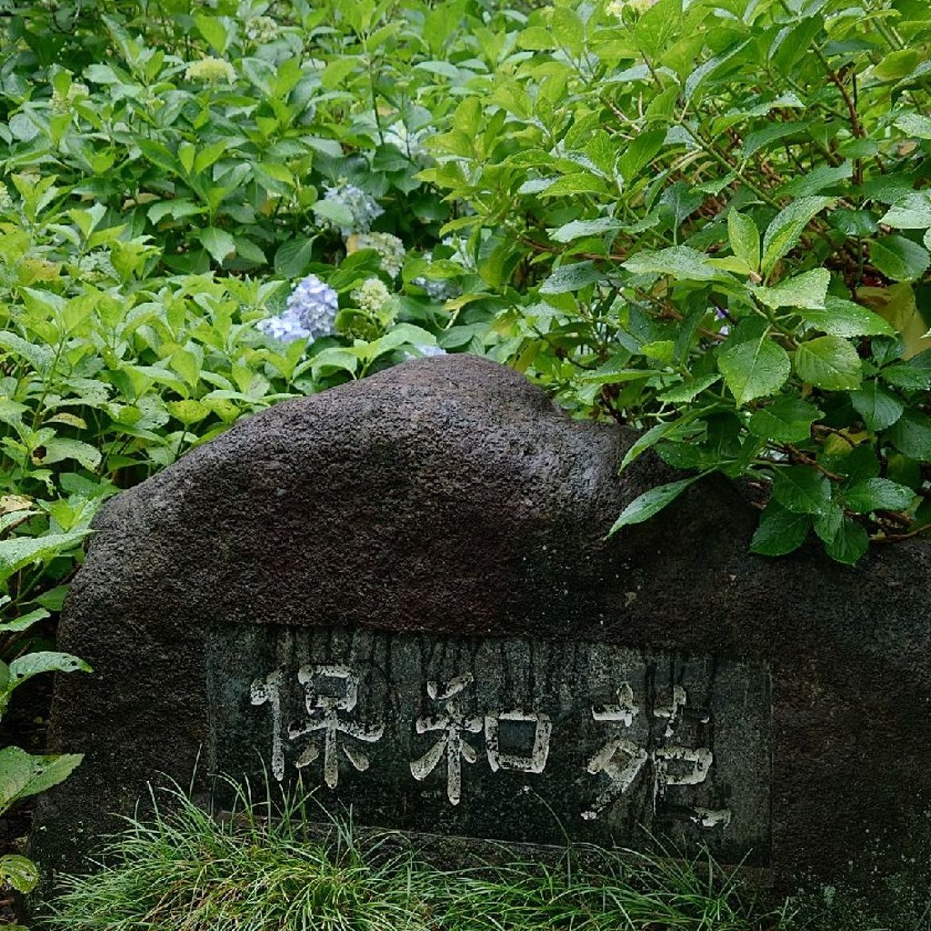 実際訪問したユーザーが直接撮影して投稿した松本町庭園保和苑の写真