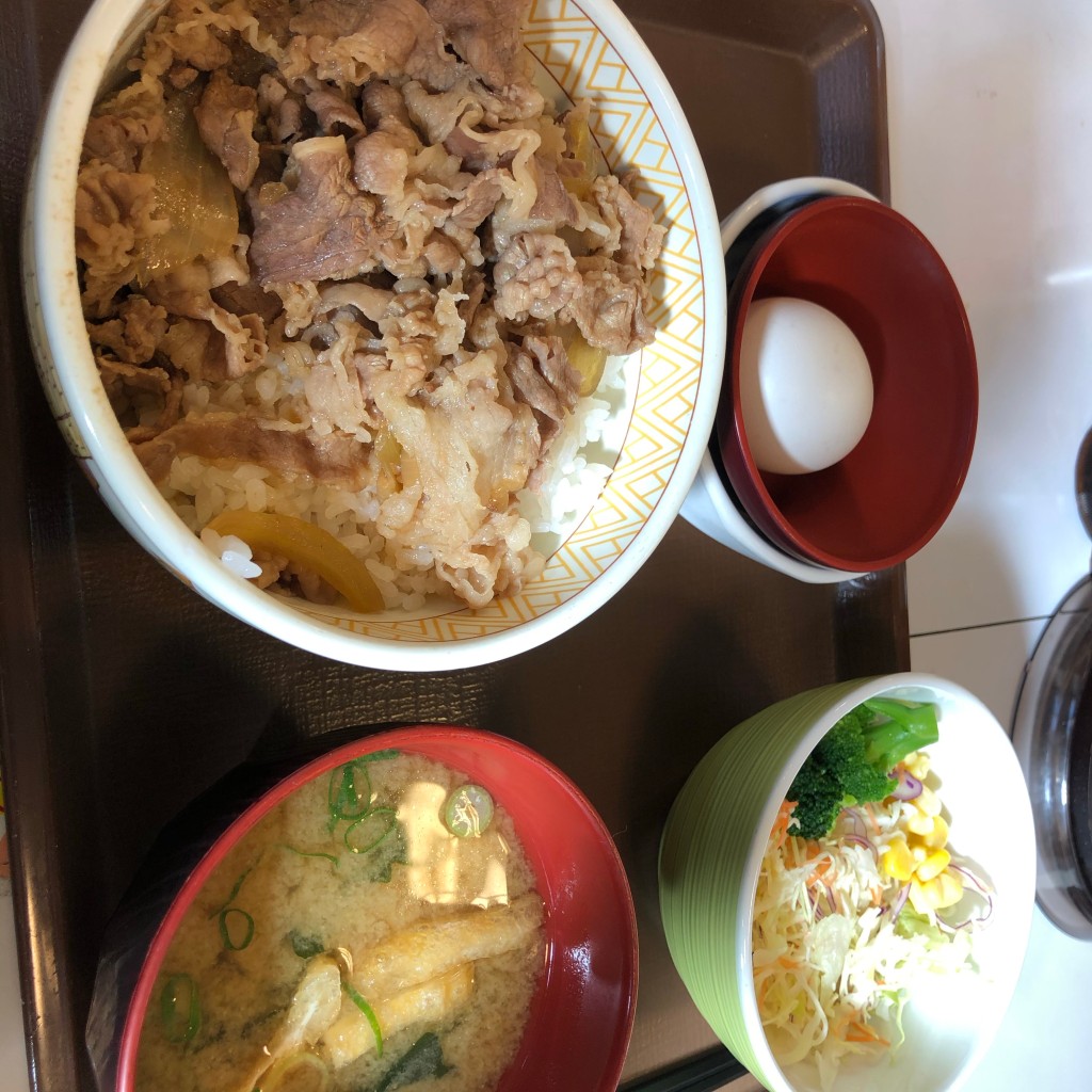 ユーザーが投稿した413牛丼ランチの写真 - 実際訪問したユーザーが直接撮影して投稿した上池台牛丼すき家 上池台三丁目店の写真