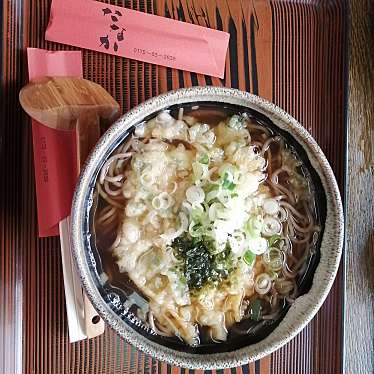 ひかばちゃんさんが投稿した上笹橋定食屋のお店味処たなか/アジドコロタナカの写真