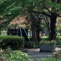 実際訪問したユーザーが直接撮影して投稿した日比谷公園公園日比谷公園 高鉄棒広場の写真