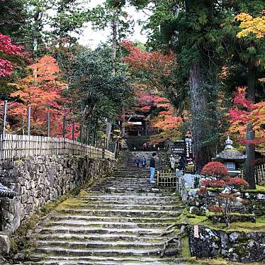 ははみんさんが投稿した池寺寺のお店湖東三山 西明寺/サイミョウジの写真