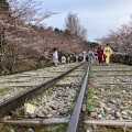 実際訪問したユーザーが直接撮影して投稿した東小物座町地域名所蹴上インクラインの写真