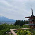 実際訪問したユーザーが直接撮影して投稿した浅間神社新倉富士浅間神社の写真