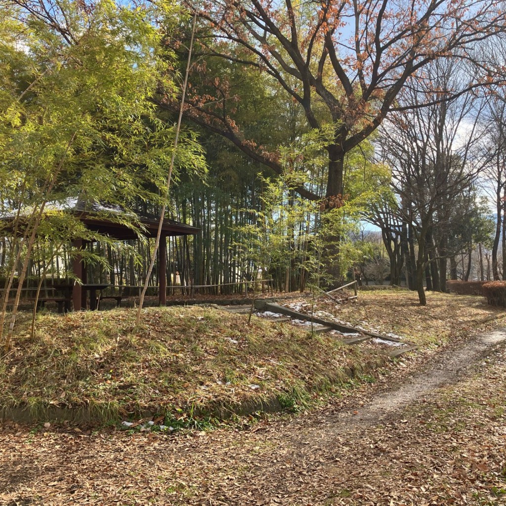 実際訪問したユーザーが直接撮影して投稿した新田公園更埴中央公園の写真