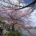 実際訪問したユーザーが直接撮影して投稿した品川町公園荒子川公園の写真