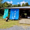 実際訪問したユーザーが直接撮影して投稿した根の平そばねのひら製麺の写真