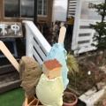 実際訪問したユーザーが直接撮影して投稿した丸山ノ内善之丞組アイスクリームGelato & Cafe Yoshidaの写真