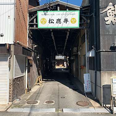 実際訪問したユーザーが直接撮影して投稿した松本町寺松應寺の写真