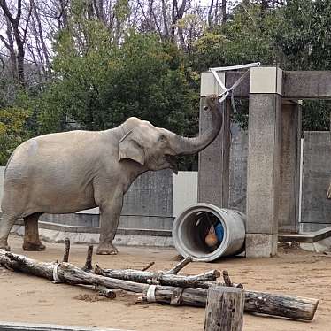 いしかわ動物園のundefinedに実際訪問訪問したユーザーunknownさんが新しく投稿した新着口コミの写真