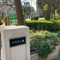 実際訪問したユーザーが直接撮影して投稿した元町公園元町中公園の写真