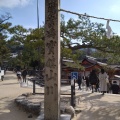 実際訪問したユーザーが直接撮影して投稿した宮島町神社嚴島神社 参拝入口の写真