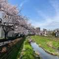 実際訪問したユーザーが直接撮影して投稿した河川野川の写真