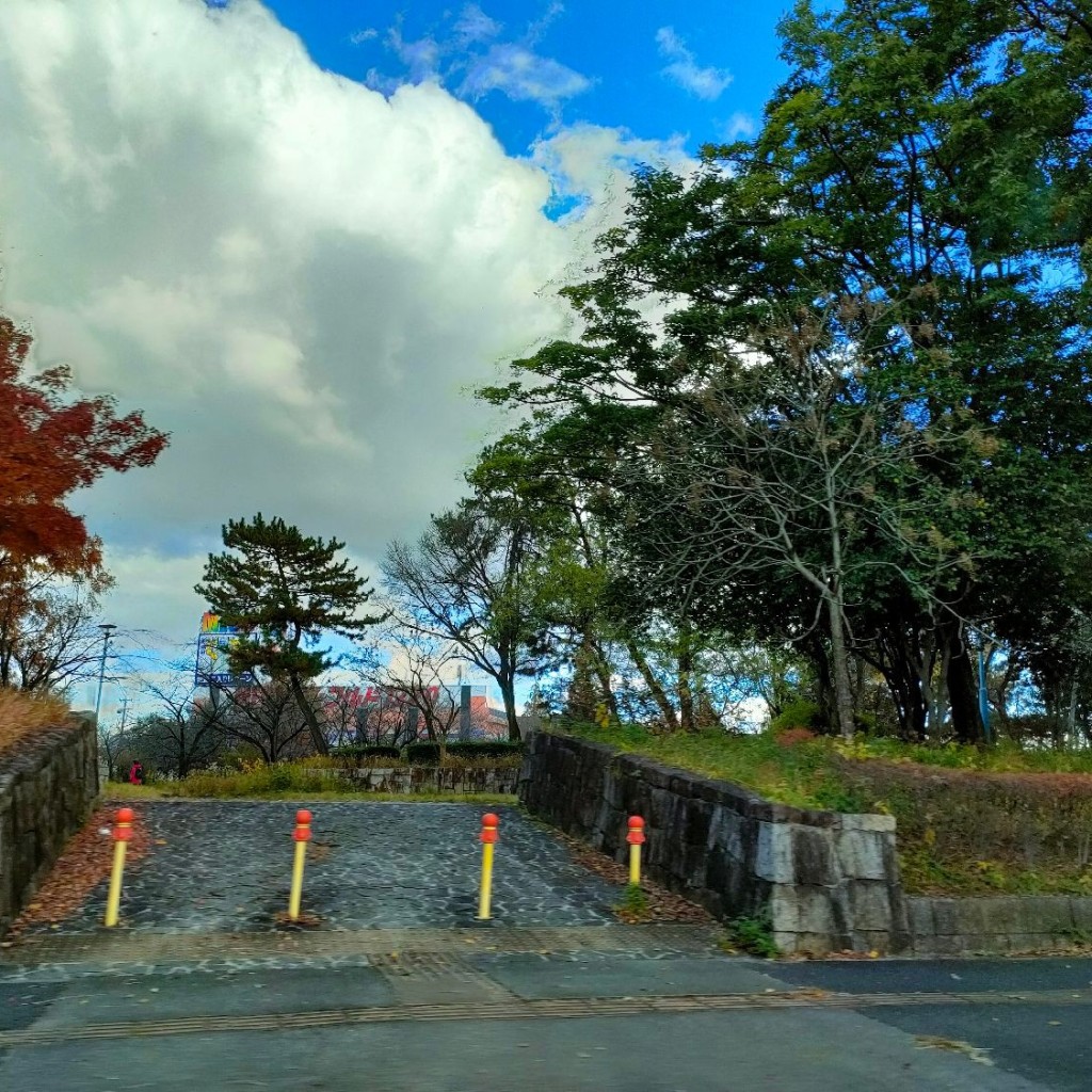 実際訪問したユーザーが直接撮影して投稿した品川町公園荒子川公園の写真