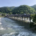 実際訪問したユーザーが直接撮影して投稿した嵯峨天龍寺芒ノ馬場町橋渡月橋の写真