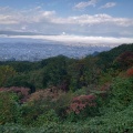 実際訪問したユーザーが直接撮影して投稿した岩波公園西蔵王公園の写真