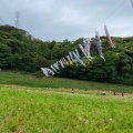 実際訪問したユーザーが直接撮影して投稿した神明町公園くりはま花の国の写真