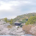 実際訪問したユーザーが直接撮影して投稿した根来寺根來寺の写真