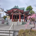 実際訪問したユーザーが直接撮影して投稿した木場神社木場洲崎神社の写真