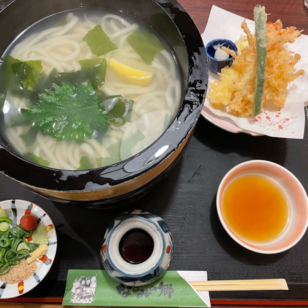 くじら肉さんが投稿した赤石和食 / 日本料理のお店なごみの郷/ナゴミノサトの写真