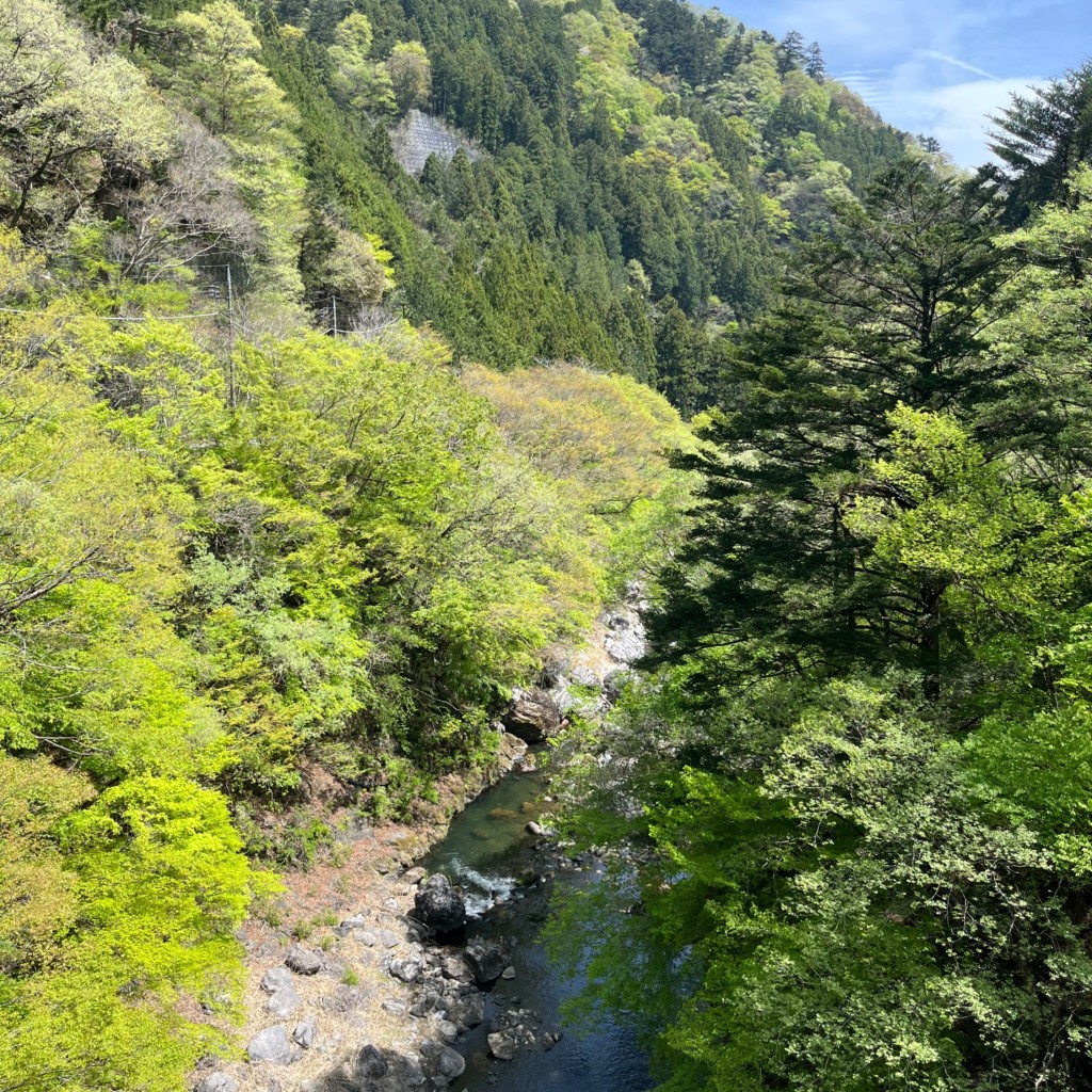 実際訪問したユーザーが直接撮影して投稿した境橋しだくら橋の写真