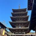 実際訪問したユーザーが直接撮影して投稿した八坂上町寺法観寺の写真