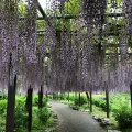 実際訪問したユーザーが直接撮影して投稿した戸木町庭園かざはやの里 かっぱのふるさとの写真