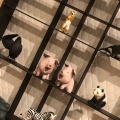 実際訪問したユーザーが直接撮影して投稿した太秦安井辻ノ内町とんかつ豚ゴリラ 太子道店の写真