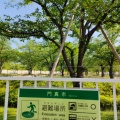 実際訪問したユーザーが直接撮影して投稿した門真公園さくら広場(門真)の写真