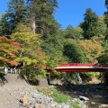 実際訪問したユーザーが直接撮影して投稿した南中野山 / 峠中野もみじ山の写真