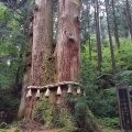 実際訪問したユーザーが直接撮影して投稿した入四間町神社御岩神社の写真