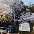 実際訪問したユーザーが直接撮影して投稿した八幡高坊神社国宝 石清水八幡宮の写真